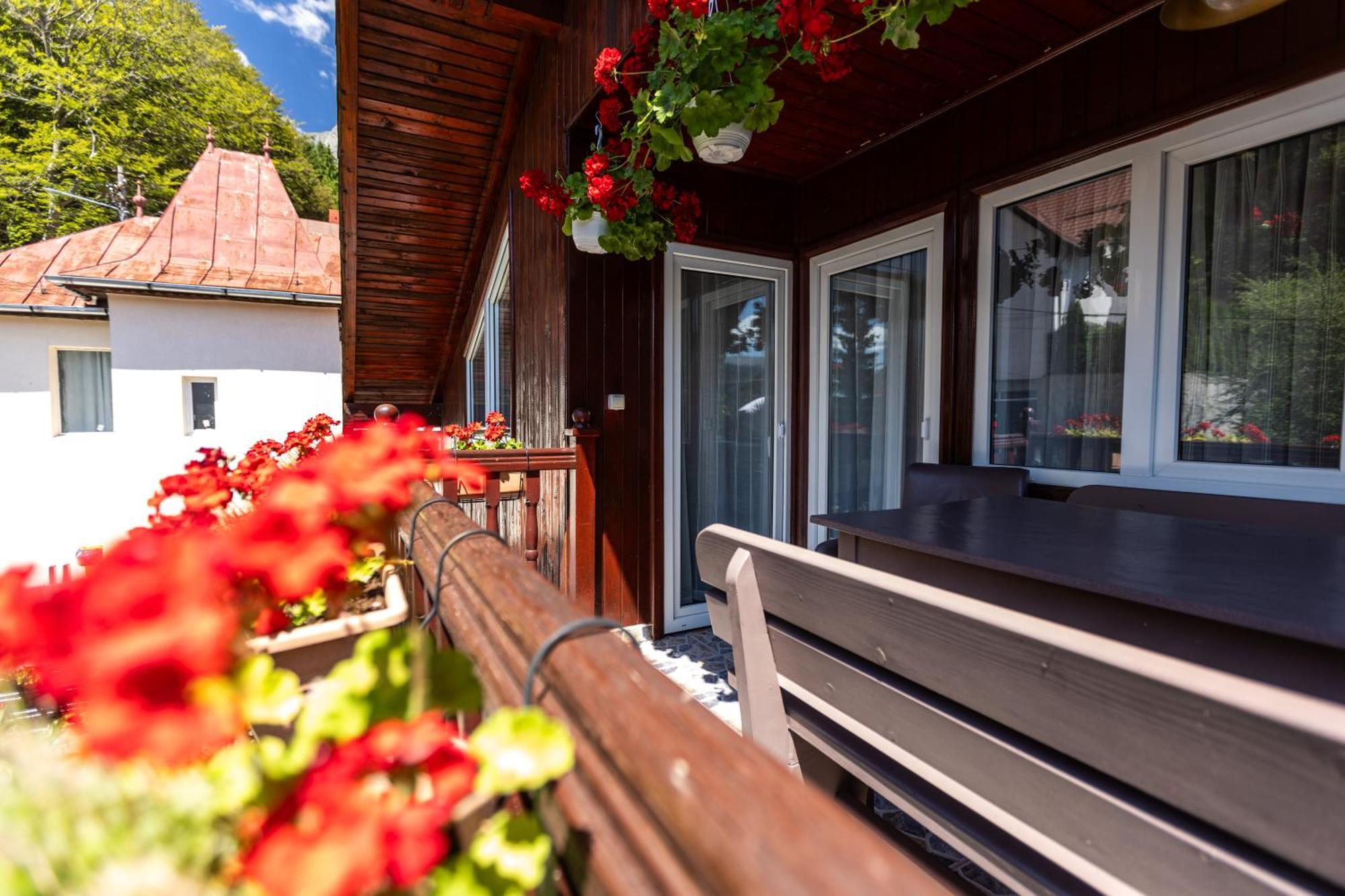 Villa Falco Bianco Buşteni Exterior foto